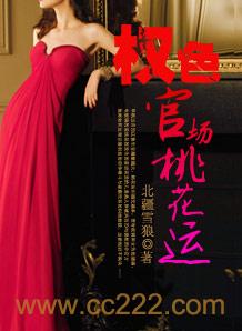 权色:官场桃花运