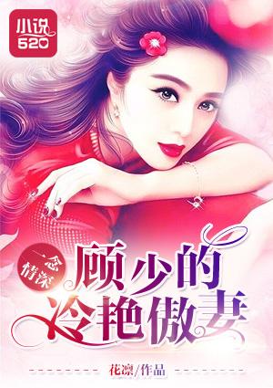 一念情深:顾少的冷艳傲妻