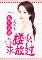 私家名宠:楼少,求放过