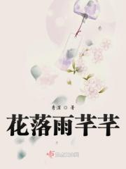 花落雨芊芊